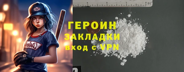 индика Сатка