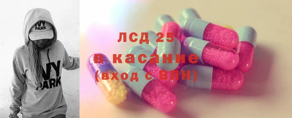 индика Сатка