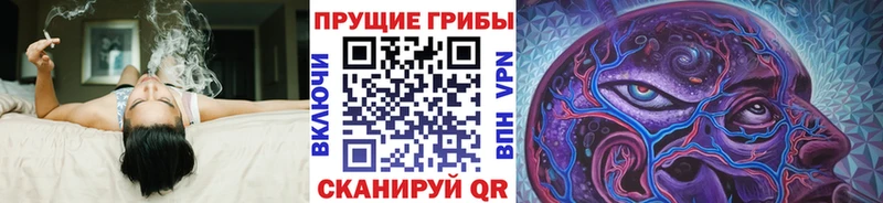 Псилоцибиновые грибы Magic Shrooms  Каргополь 